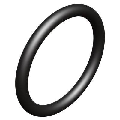 - Dichtung für DN50 S60x6 / DN50 NPS / RD65x1/6 - VITON - Dichtung für DN50 S60x6 / DN50 NPS / RD65x1/6 - VITON
